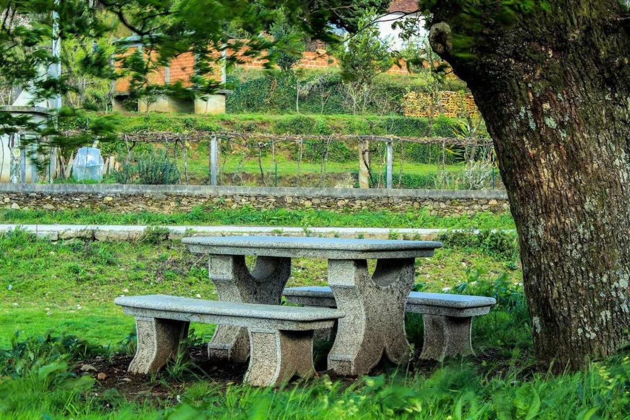 Viana Do Castelo - Amonde Village Casa P - Conforto Qualidade Natureza Екстер'єр фото