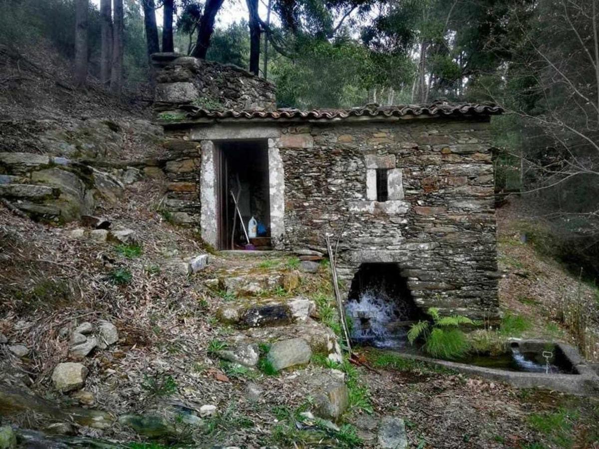 Viana Do Castelo - Amonde Village Casa P - Conforto Qualidade Natureza Екстер'єр фото